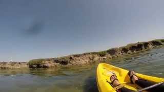 Kayaking Fun at Elkhorn Slough in California:  Spring Break - 2015 by Recumbent Trike Adventures & My Dog Noah 203 views 9 years ago 2 minutes, 47 seconds