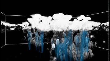 LES Simulations of scattered convection over an homogenous surface (2)