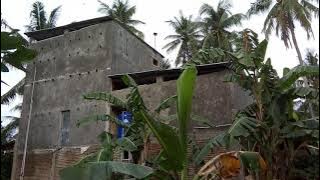 SUARA WALET BLACK JET by CHENS FUKIS di Majene Sulawesi Barat