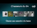 Chasse au canard  la tonne dans les pyrnesatlantiques