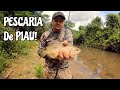 Pesca no Brasil!