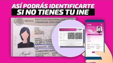 ¿Cómo tramitar tu Constancia Digital del INE por si perdiste tu credencial de elector?