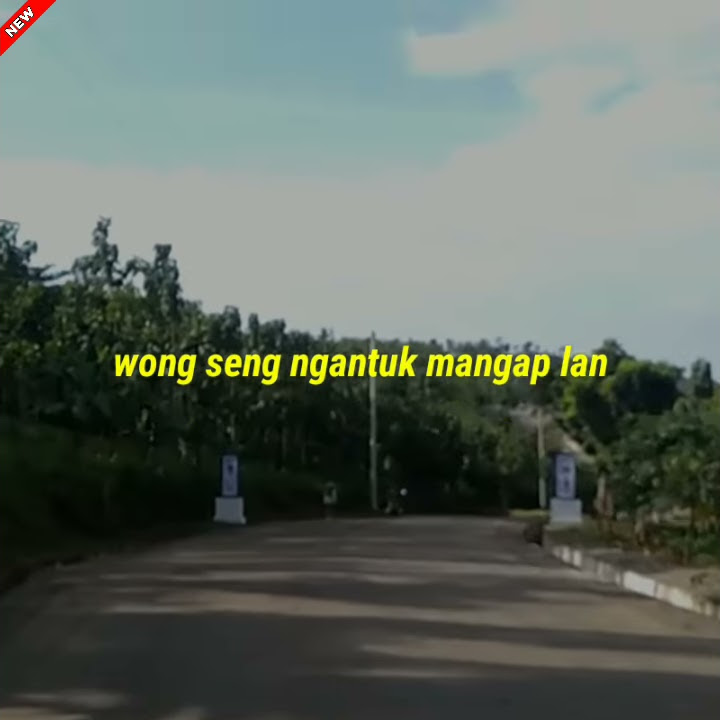 story wa Gedang kluthuk  lucu dan gokil
