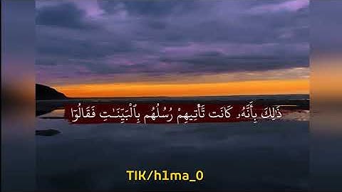 آيات قصيرة من سورة التغابن القارئ صلاح الباجي