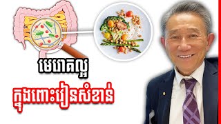 មេរោគល្អ (Microbes)ក្នុងពោះវៀនមានតួនាទីសំខាន់ណាស់