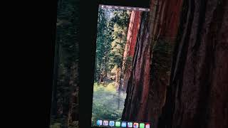 Easy to fix  icon download on macOS  Sequoia  MacBook Pro 15-inch ( Mid 2015)