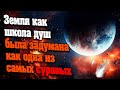 Земля как школа душ была задумана как одна из самых суровых | Абсолютный Ченнелинг