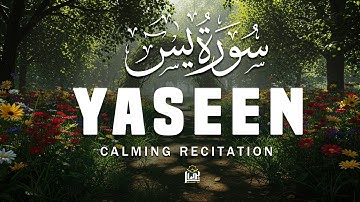 Surah Yasin (Yaseen) سورة يس | The Heart of the Quran That Brings Life to the Dead Soul | Basair TV