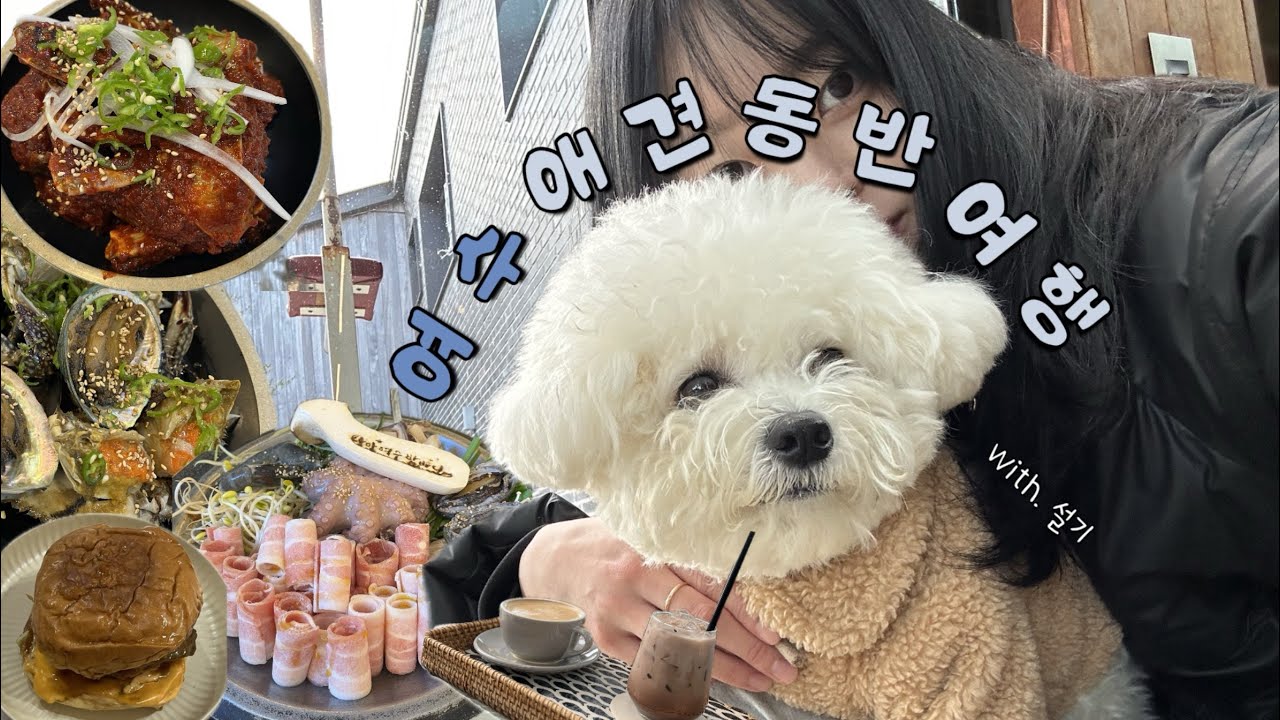 [VLOG] 여수 애견동반 여행 | 여수 맛집 | 애견동반 카페 | 애견동반 숙소 | 자매 여행