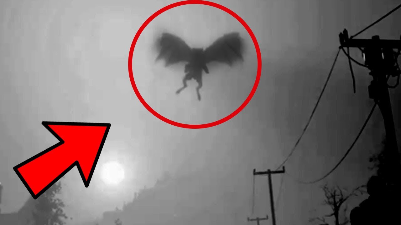 5 Gárgolas REALES Captados En Cámara Y VISTAS En La Vida REAL - YouTube