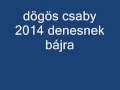 Dgs csaby 1