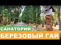 Санаторий "Березовый Гай" г. Хмельник - Полный Видеообзор