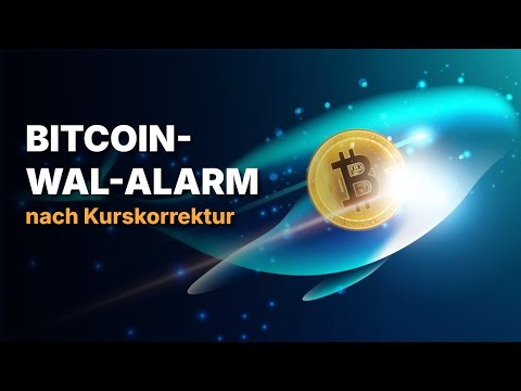 Bitcoin-Wale kaufen BTC für 7,6 Milliarden US-Dollar
