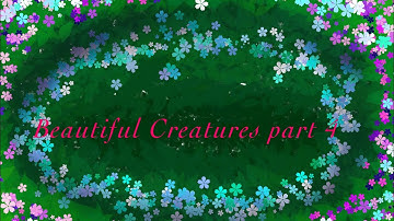 Beautiful Creatures map part 4 (Super Old) || Remake Up ||