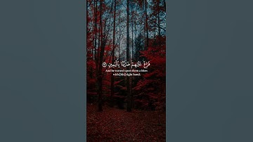 قرآن كريم ..#ياسر_الدوسري #قرآن #اكسبلور #quran