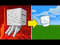TUTTI i MOB di MINECRAFT DIVENTANO TENERI PETS!