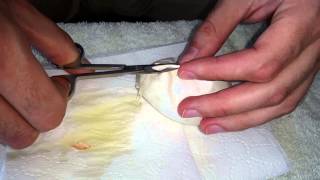 Cutting BP Clutch #6! Dinker project results!