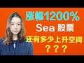 美股分析 | SE股票 | 东南亚最大的电商、游戏巨头SEA 深入分析，市场规模，财务数据，值不值得买？