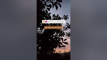 تلاوة خاشعة من سورة هود.. بصوت القارئ عمر محجوب