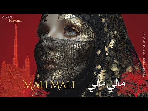 Mali Mali مالي مالي Arabic Techno House Mix 
