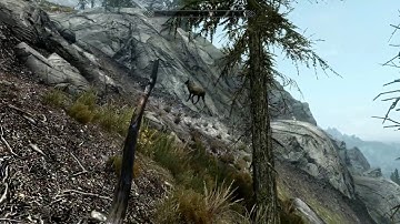 Skyrim "Bug" Clignotement de l