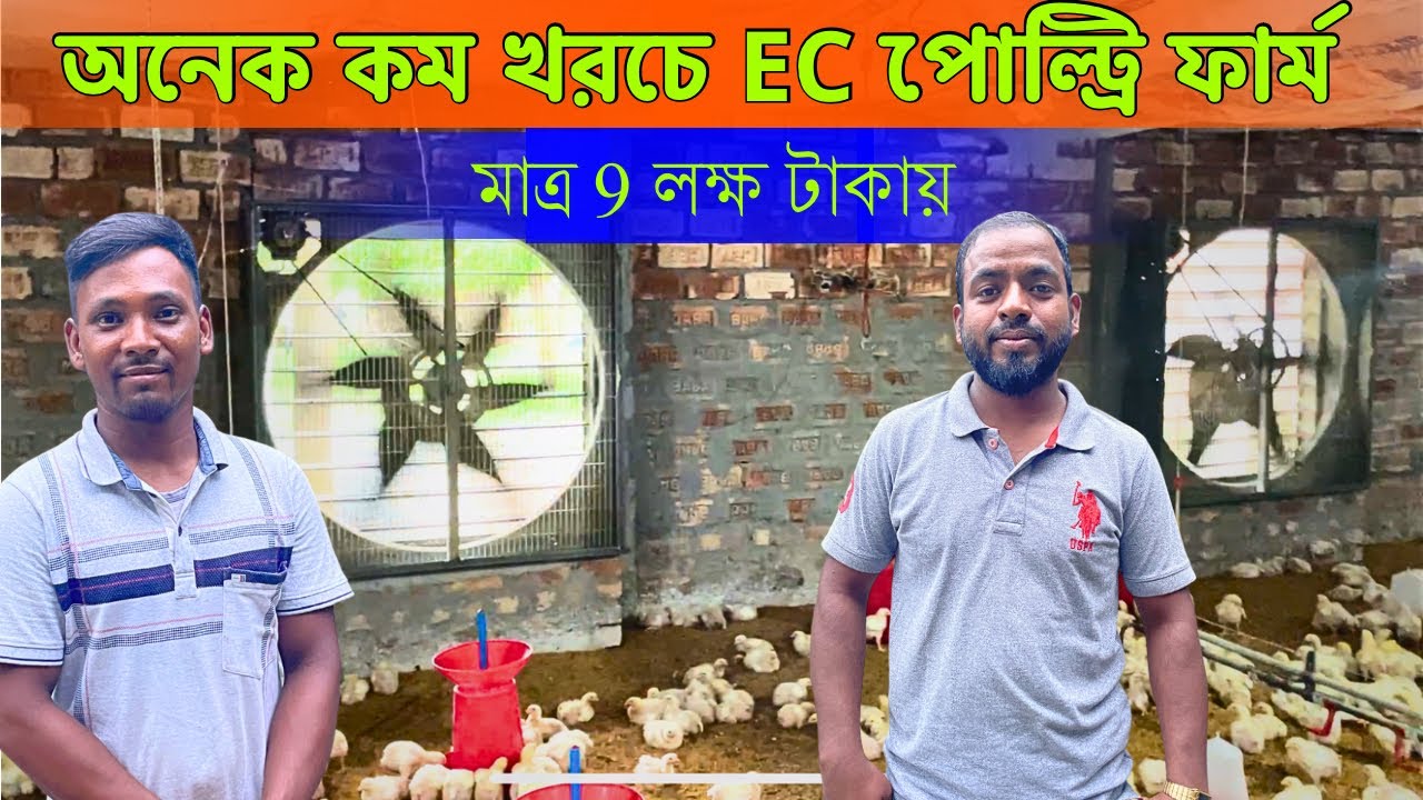 একবার খরচ করে প্রতি ব্যাচে লক্ষ টাকা আয় করছেন | Low Cost EC Poultry Farm