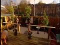 Glasgow Garden Designer on This Morning Glasgow Garden Designer on This Morning