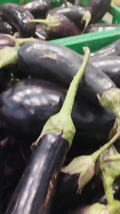 Баклажан.Цена.Магазин Велмарт#баклажан#цена#велмарт - YouTube