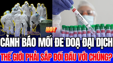 Cảnh Báo Toàn Cầu: Đại Dịch Mới Từ Virus Cúm Gia Cầm H9N2 Đang Đe Dọa Nhân Loại!| Tiêu Điểm Hôm Nay