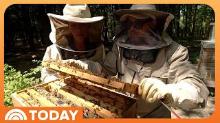 Couple Behind Lomar Farms on Importance and Joy of Beekeeping