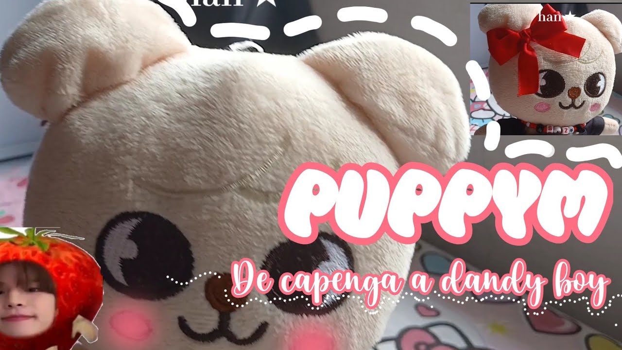 PUPPYM - Arrumando SKZOO FAKE, como ajeitar Skzoo da shopee! 🐶🐾✨