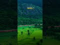 The Traveler | The Train vibes 🚆  | #travelshorts #clips #train