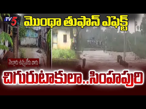 Toofan Montha Effect: చిగురుటాకులా..సింహపురి | Cyclone Effect On Nellore | Weather Updates | TV5 - TV5NEWS