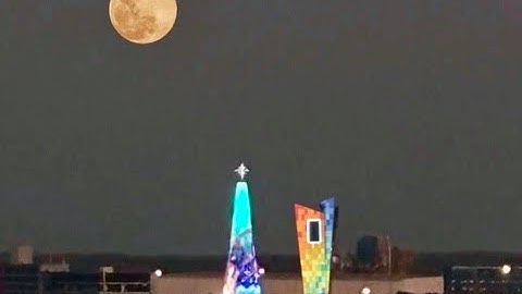 Vivan las Reinas . José Martelo . 