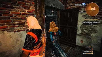 The Witcher 3 triss bug