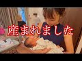 【発表】ついにかなちゃんに赤ちゃんが産まれました!【魚屋の森さん】