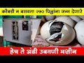 कोंबडी न बसवता 270 पिल्लांना जन्म देणारे हेच ते अंडी उबवणी मशीन | Egg Incubator | Maze Ran shivar