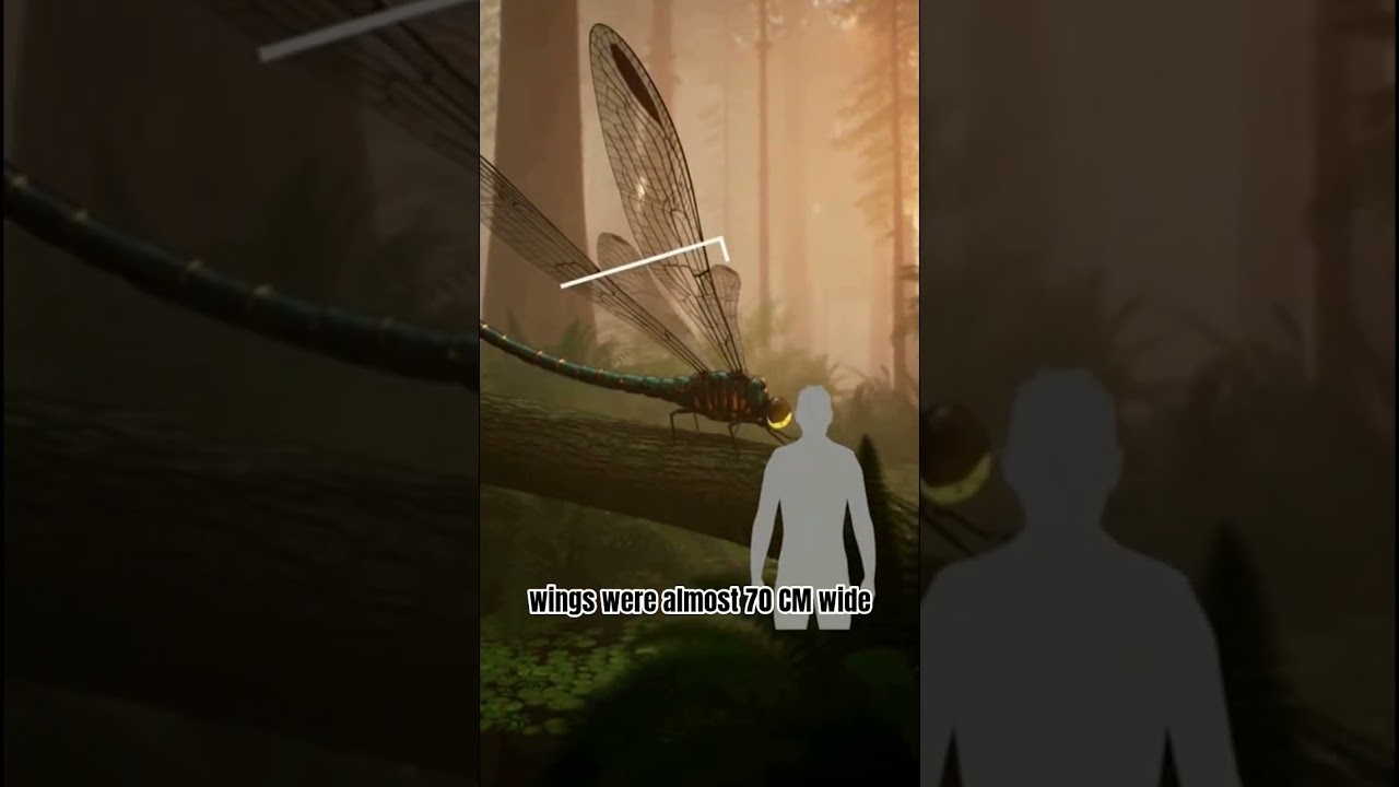prehistoric dragonfly were scary 😱