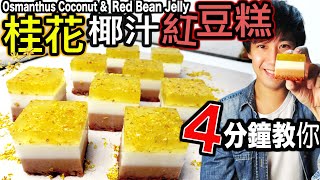 桂花椰汁紅豆糕做法 港式甜品 ｜簡易食譜 零失敗 ｜How to make Osmanthus coconut and red bean jelly at home | [CHI ENG SUB]
