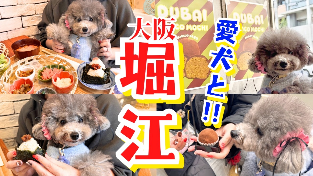 【犬と行けるカフェ】大阪堀江の最新カフェを巡る1日🐶韓国で大バズり中のドバイチョコ餅クッキーのお店も！