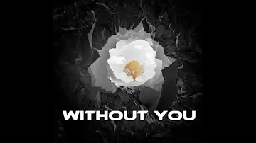 Without You X Shades - Avicii X Franklynn VorisG Mashup