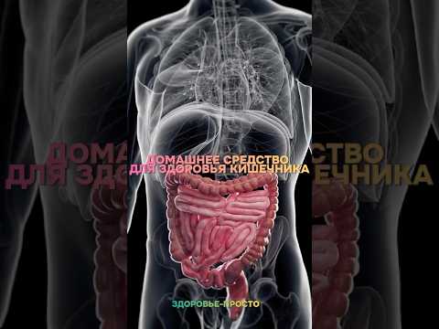 Домашнее средство для здоровья кишечника #здоровье #кишечник #польза #организм