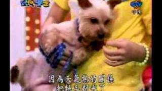 好狗麥走(2)-Miruku殭屍跳+360度旋轉.wmv