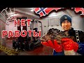 Природная АНОМАЛИЯ? Работаю на РЫБНОЙ Фабрике в Норвегии! НЕТ Рыбы - НЕТ Работы!