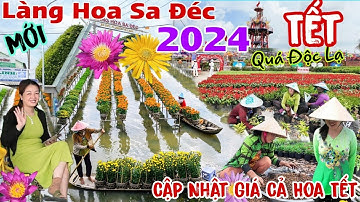 Làng Hoa Sa Đéc 2024 giáp Thìn cập nhật giá cả hoa tết và các điểm du lịch