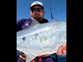 Fishing in Seychelles and sharks 🦈