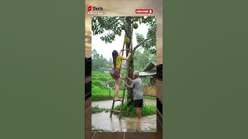Metik Duren Ditemani Kakek #shorts #funny #ai #rain