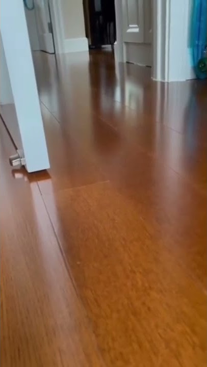 HAHAHA, VERY CUTE DUCK. TIK-TOK