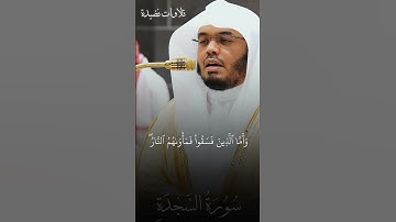 تلاوة الشيخ ياسر الدوسري- صلاة الفجر 13 جمادى الأولى- سورة السجدة #تلاوات_نضيدة #ياسر_الدوسري #لايك