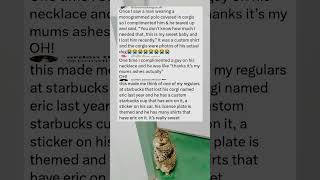 I Complimented A Stranger’s Shirt And...what He Said Next Nearly Made Me Faint. 😭